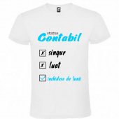 ,,CONTABIL,,